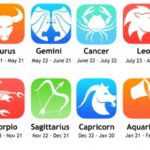 bolagg zodiak