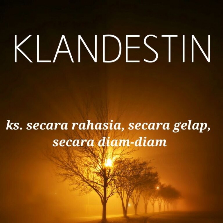 klandestin  BOLAGG