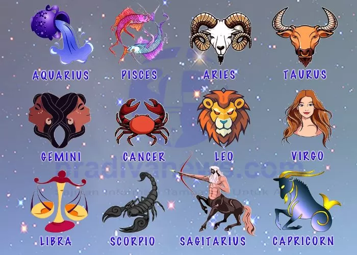 zodiak bolagg