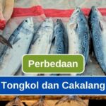 kped_tongkol_vs_cakalang