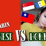 Panggilan-Kekerabatan-Tradisi-Tionghoa-Dalam-Dialek-Hokkian-Hokkien-1024x576