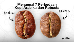 Kopi-Robusta-dan-Arabika-Ketahui-7-Perbedaannya-Pratter-Coffee-Roaster