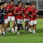 timnas