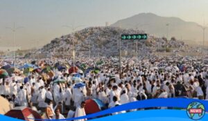 Perjuangan Jemaah Haji Melawan Suhu Nyaris 50 Derajat Celcius di Tanah Suci